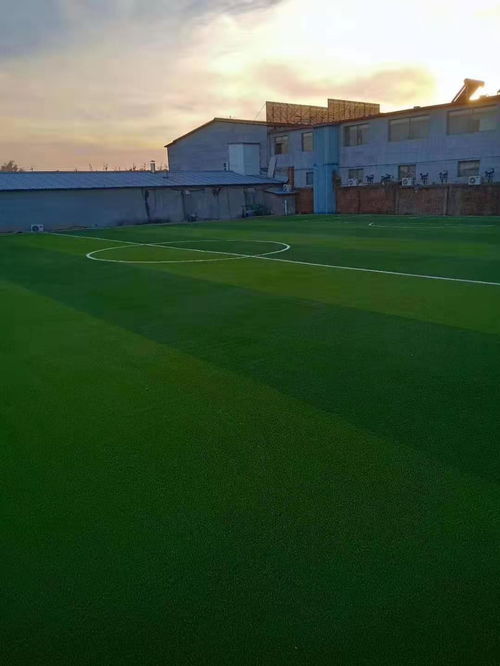 寧德體育場地施工價格