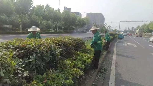 區園林綠化維護中心 天心區政府門戶網站