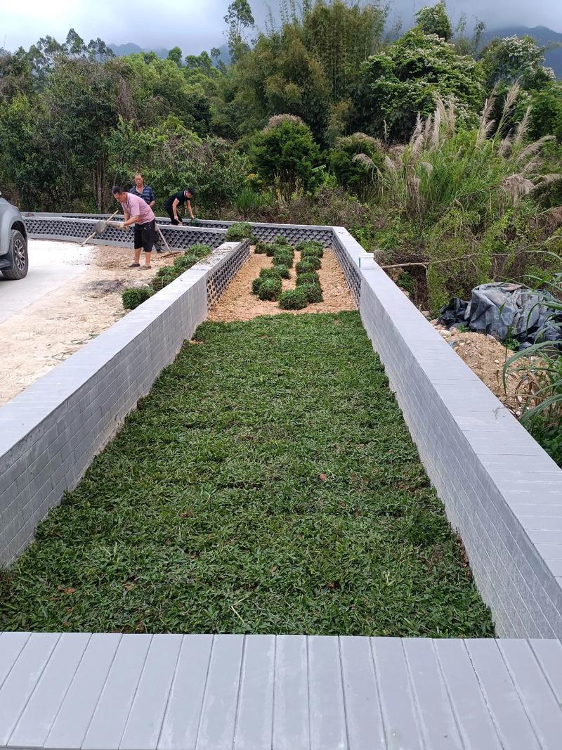 白馬村雙一移民村公園綠化照片#施工現(xiàn)場實(shí)拍 #園林綠化工程