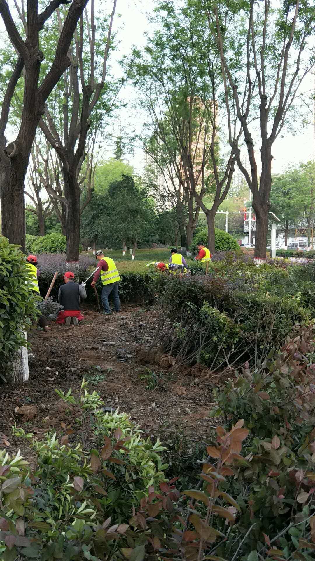 生態公司快速啟動景觀綠化及人行道提升改造工程 - 美篇