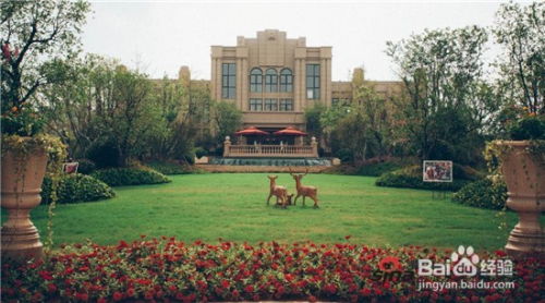 園林綠化施工中球類及花灌木的種植要點